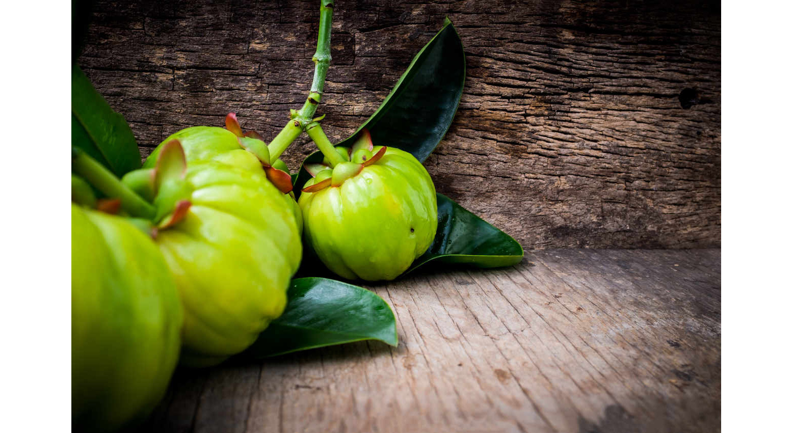 Garcinia titolata in HCA, equilibrio del peso corporeo e sovrappeso