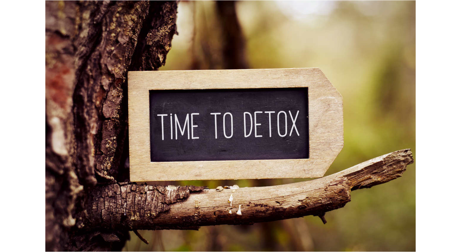 Come disintossicare il corpo dall'eccesso di tossine